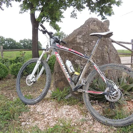 Capitello Camping Camping *